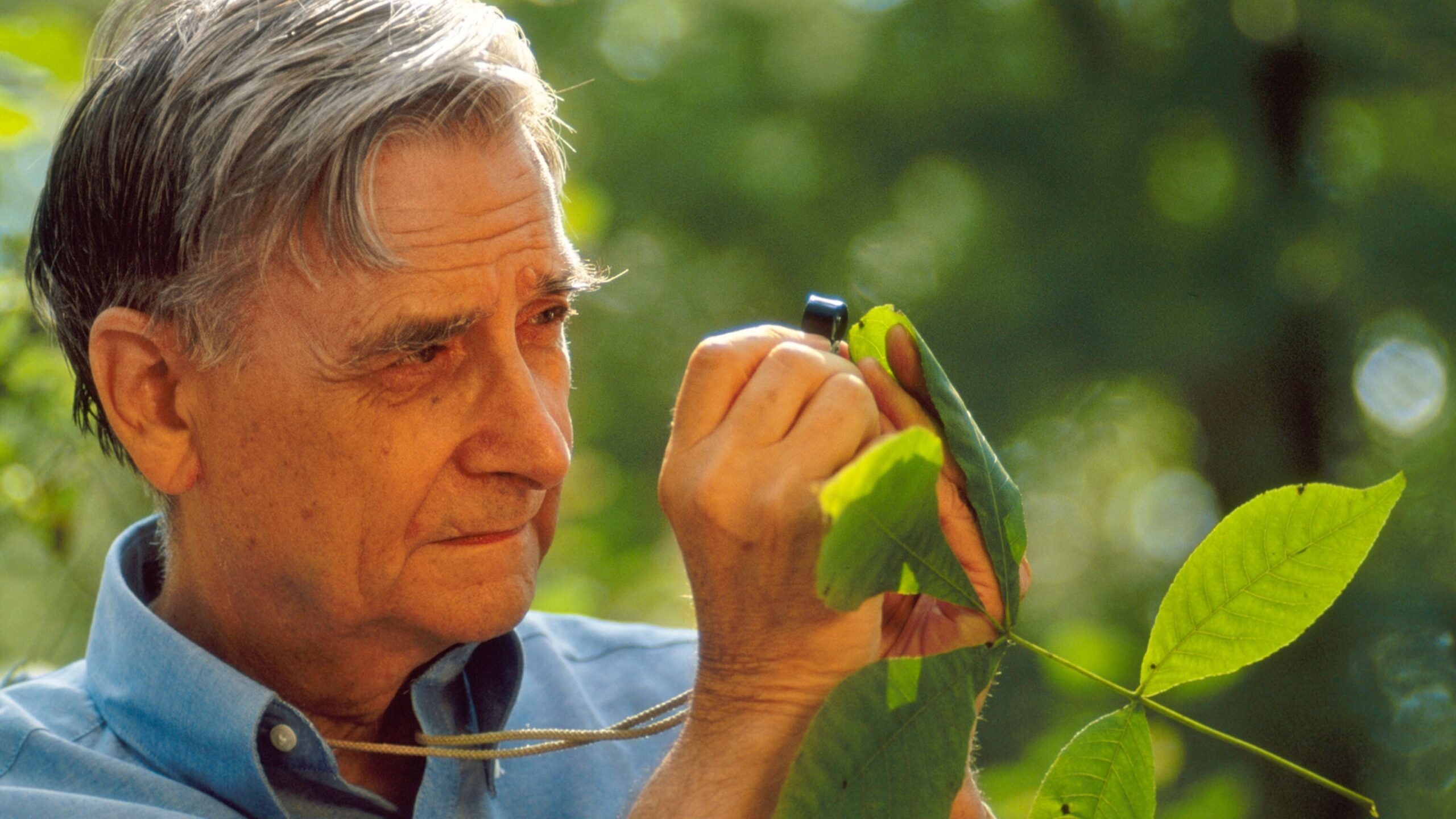 E. O. Wilson y la propuesta ‘Half-Earth’